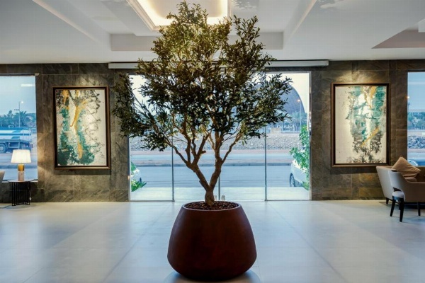 Viola Gardens Residence image 1